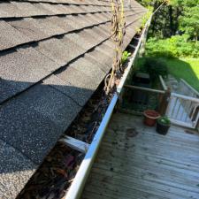 Gutter cleaning todd (1)